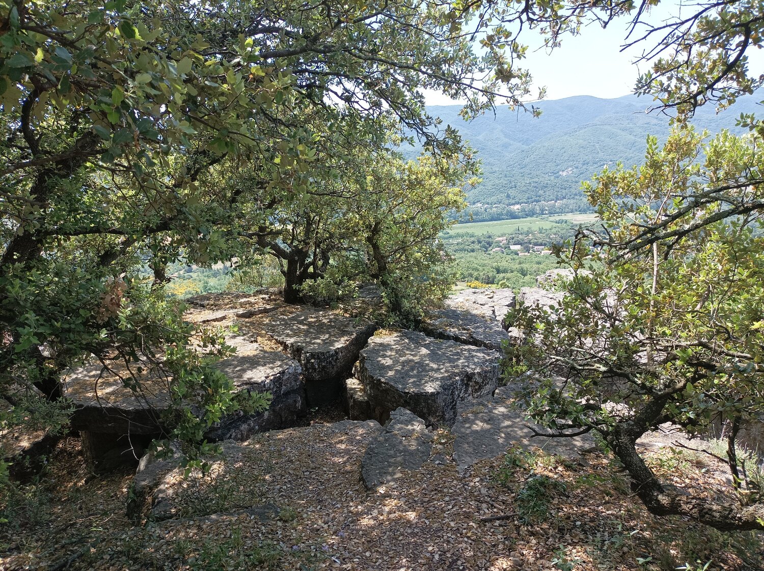 IMG_20260531_122704.jpg